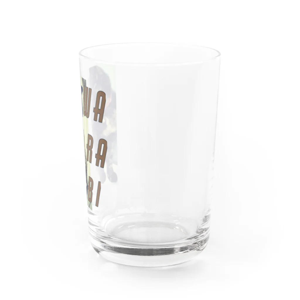 アートワークスみいねこのわらび Water Glass :right