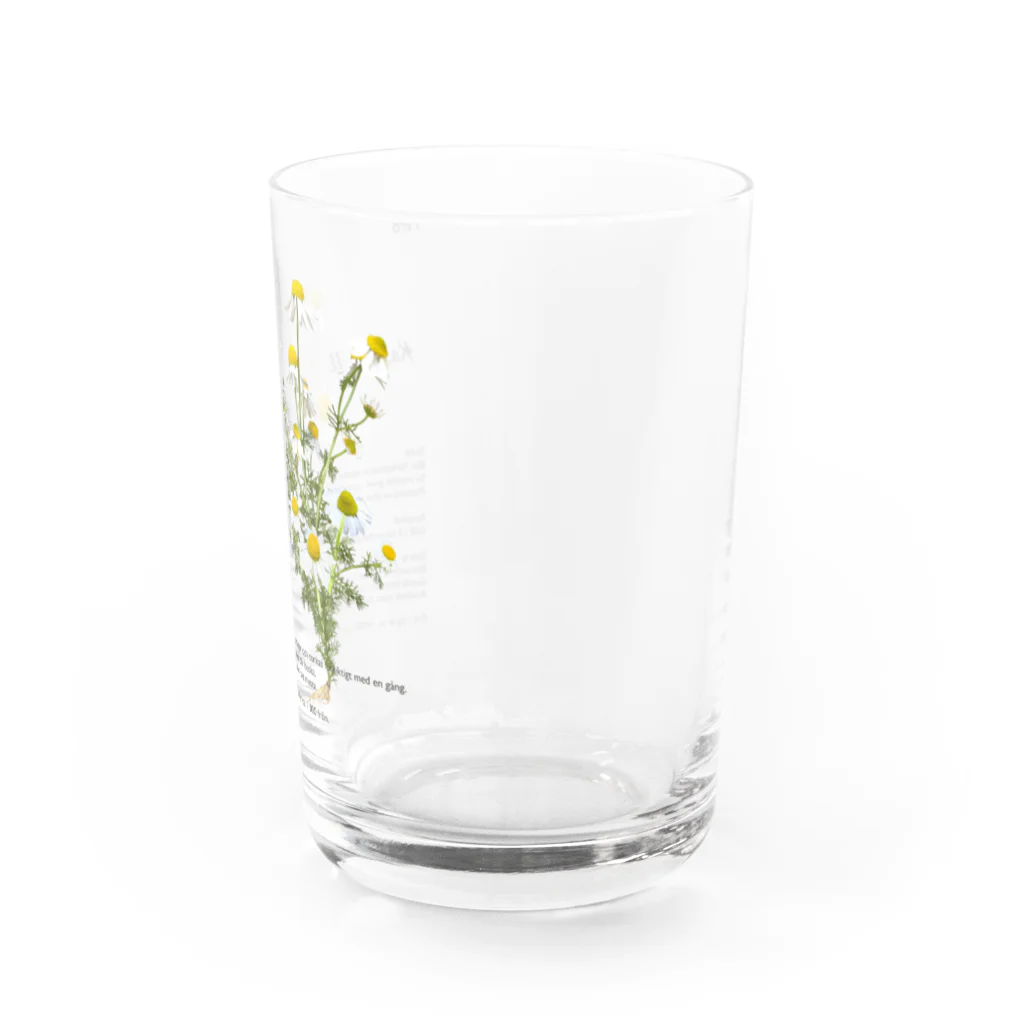 Weの私たちの菜園より カモミール Water Glass :right