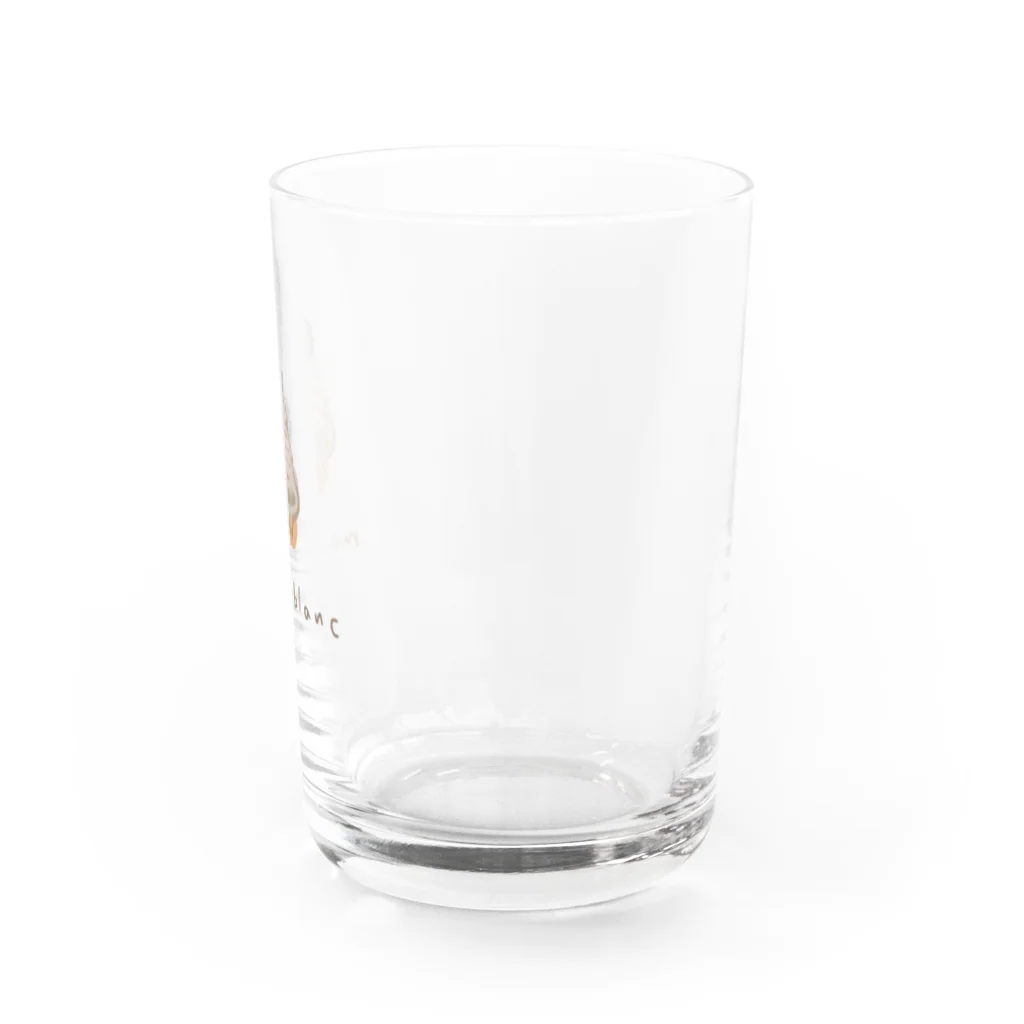rurugirlのモンブラン（ロゴ） Water Glass :right