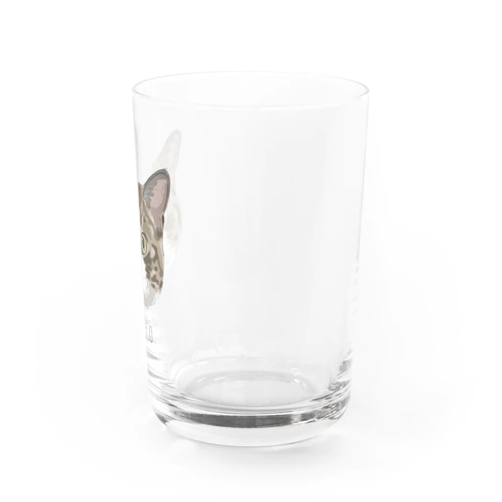 みきぞーん｜保護猫 ミッキー画伯と肉球とおともだちのhachio Water Glass :right