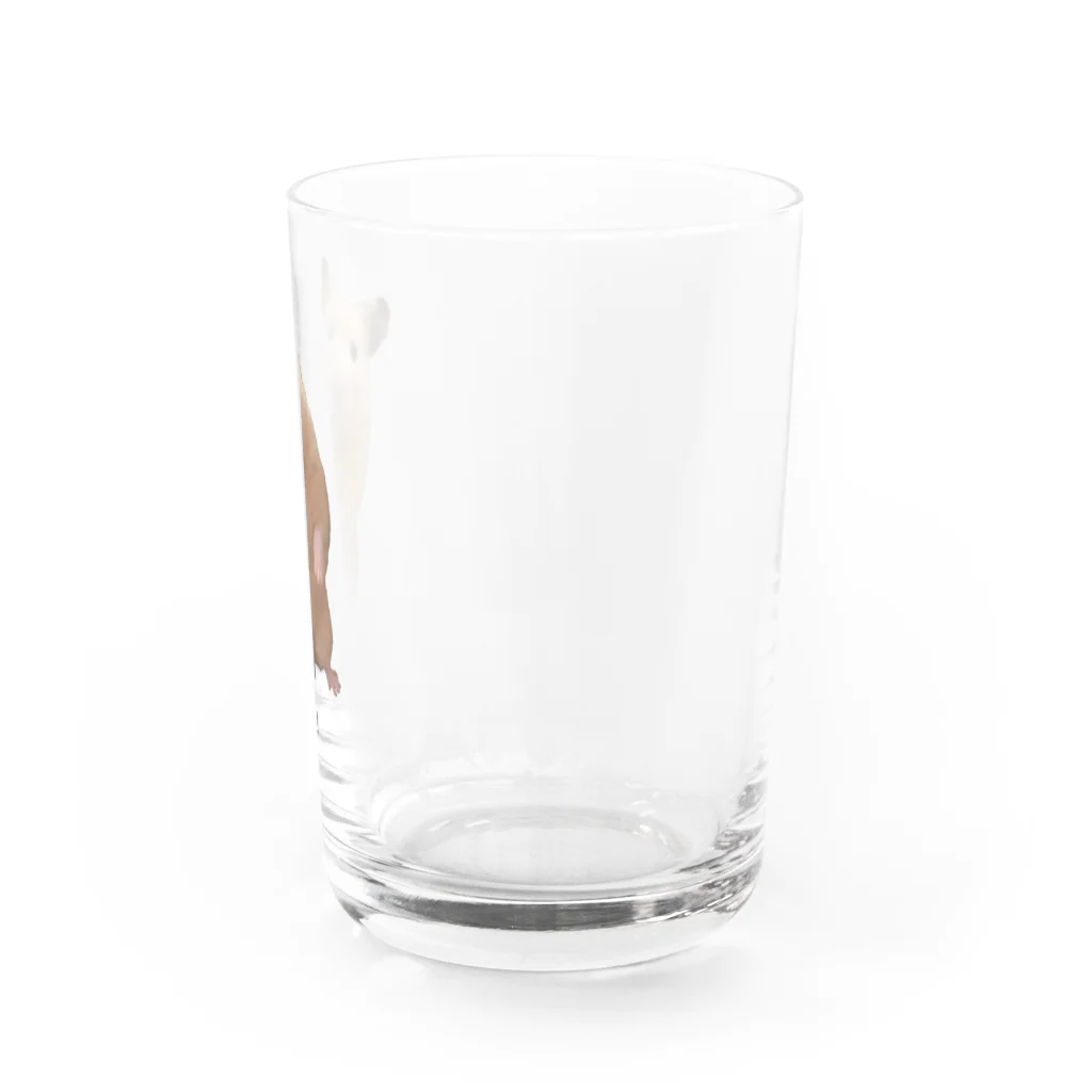 キンクマハムスターふろちゃんショップのキンクマハムスターふろちゃん Water Glass :right