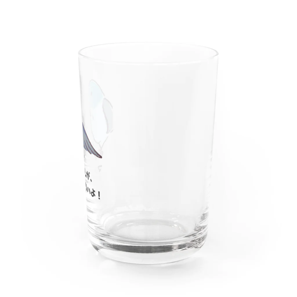 デザイン堂しまえながのマメルリハちゃん Water Glass :right