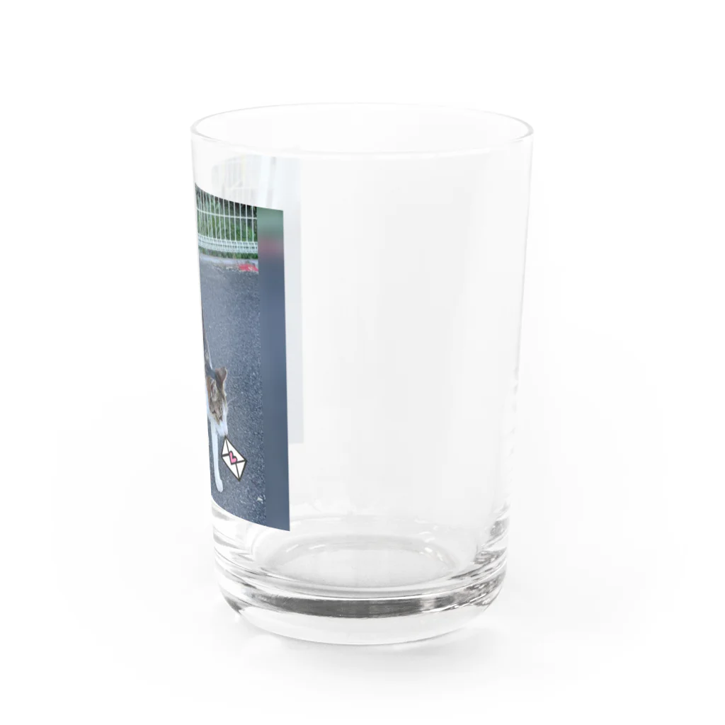 ながしっぽ from.さくらねこの家のながしっぽ　type.Ｊ Water Glass :right