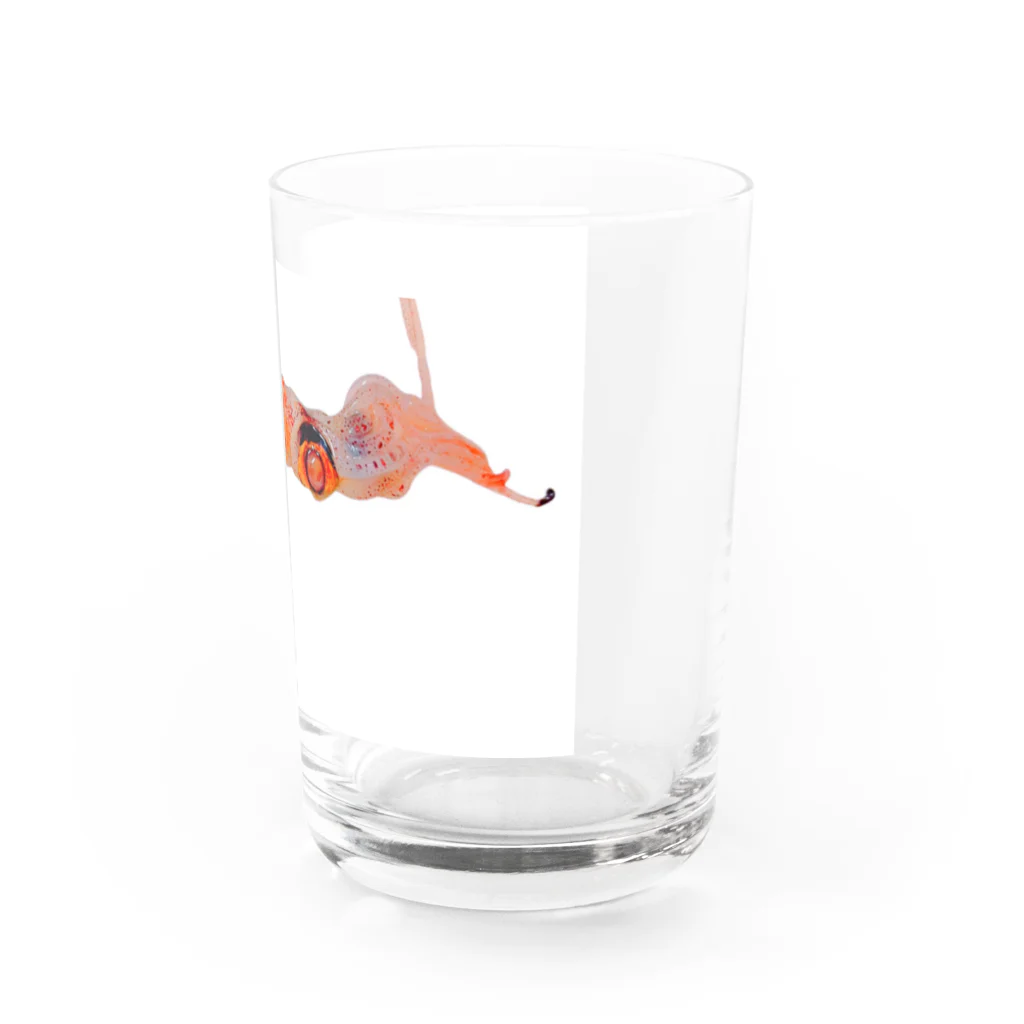 gypsy_mariaのsquid Water Glass :right