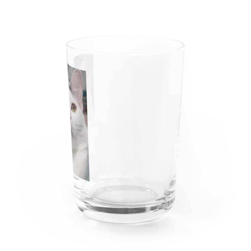 てくてくのみせのオモッチョス Water Glass :right