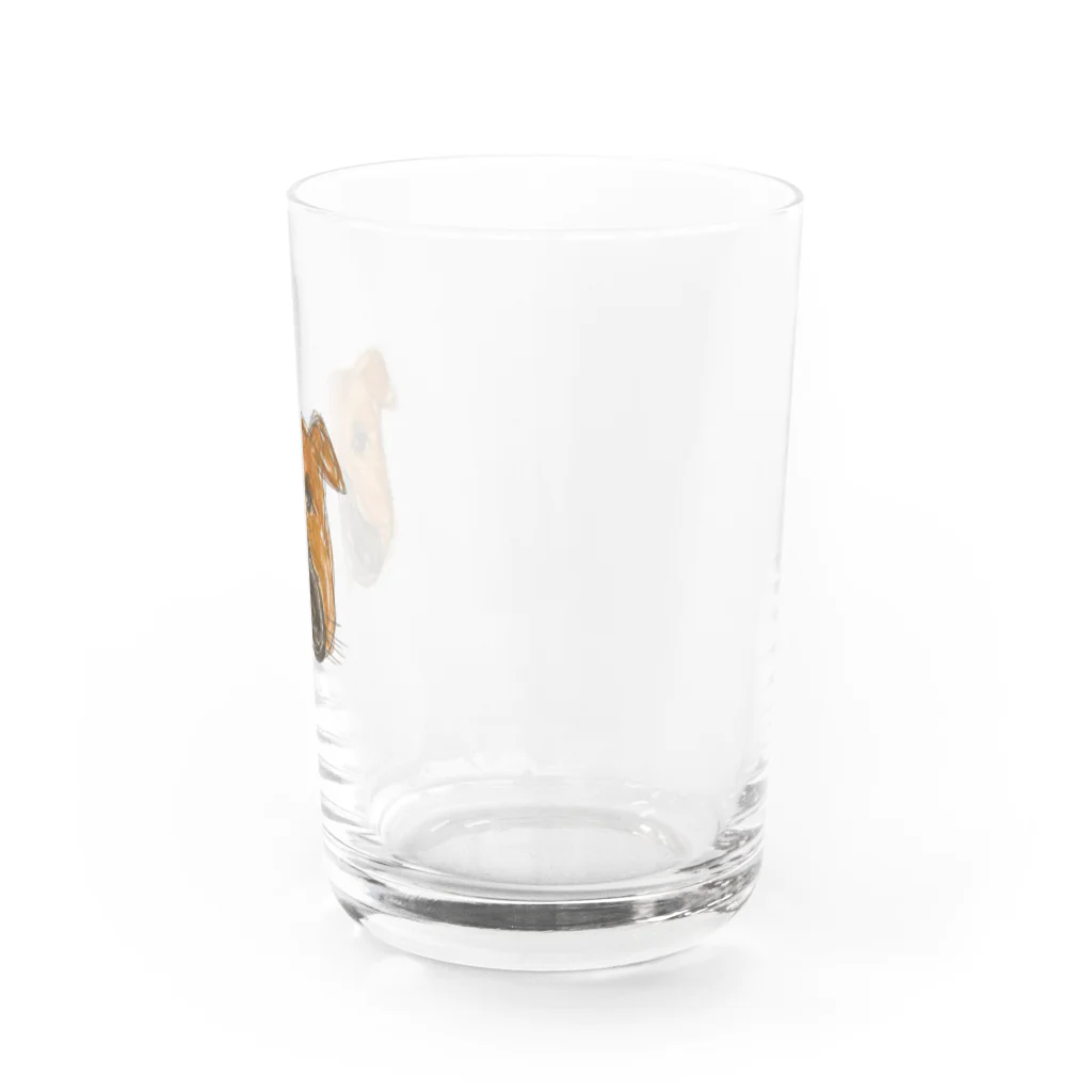 licaのbull glass グラス右面