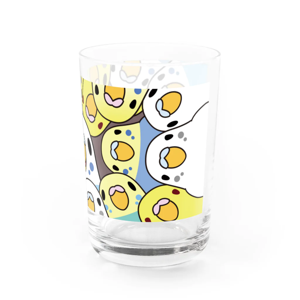 まめるりはことりのみっちりむっちり過密セキセイインコさん【まめるりはことり】 Water Glass :right