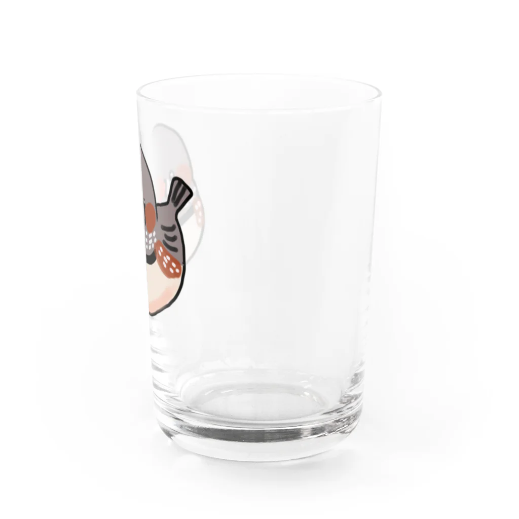 isay-t　・・・　ブンチョウ　鳥 すずめ（スズメ　雀） カエル　蛙　爬虫類　カメ　キンカチョウ　インコ　ヨークシャーテリア　カマキリ　舟　水彩　などのスワルキンカチョウ Water Glass :right
