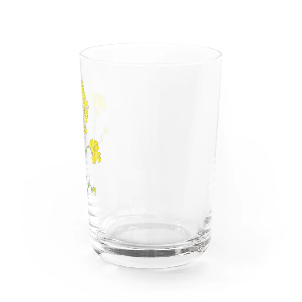 とりとっと観光案内所の菜の花 Water Glass :right