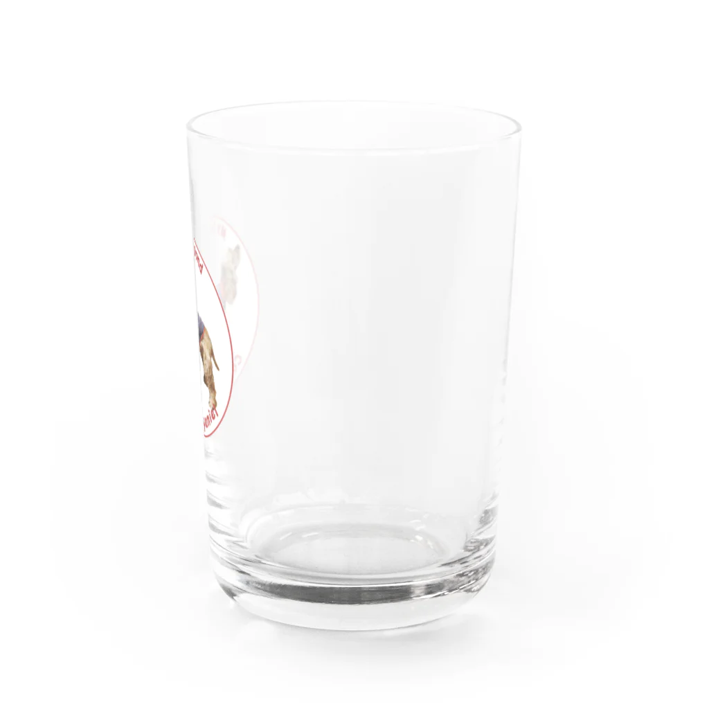 M's  Diamond (エムズ・ダイヤモンド) オーナーズグッズショップのM's  Diamond  のオリジナルグッズ Water Glass :right