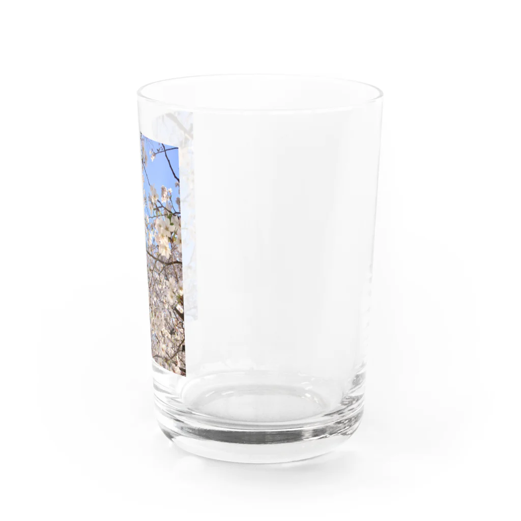 Fleurisseの桜香 Water Glass :right