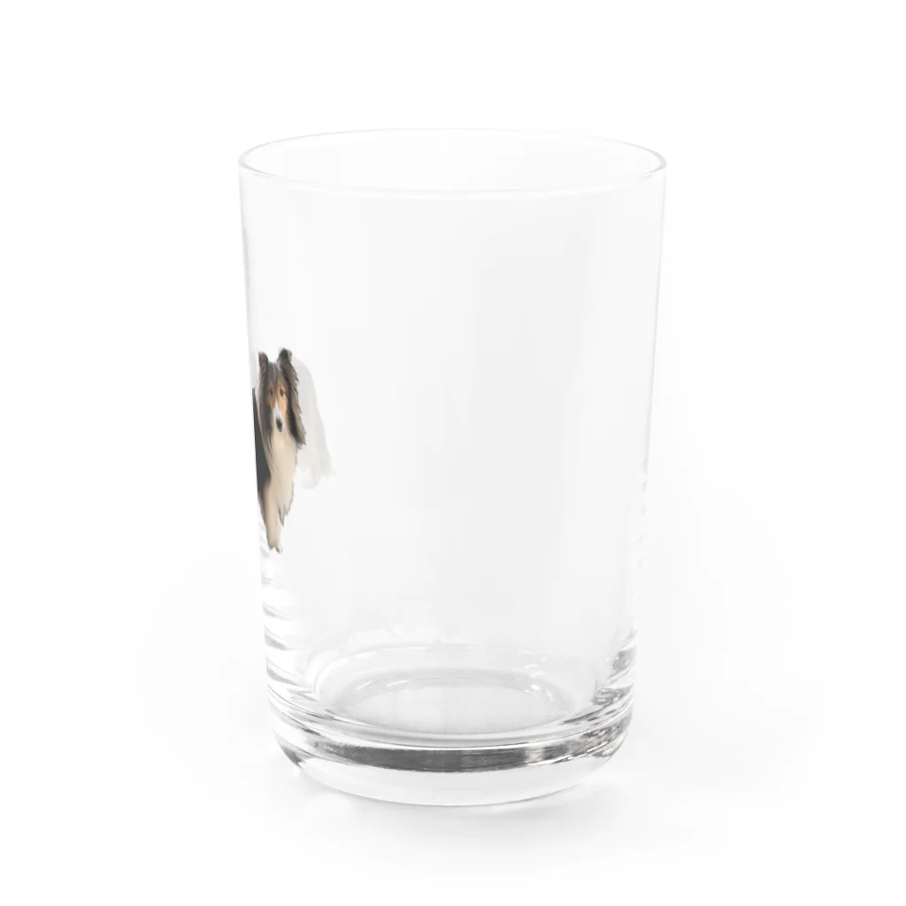 犬ロボット！のかわいい犬 Water Glass :right