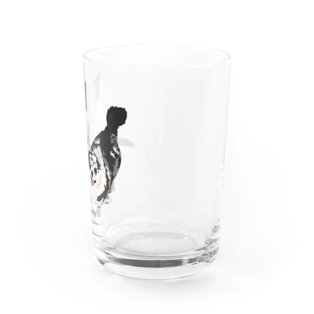 Letiのラキ、ピト Water Glass :right