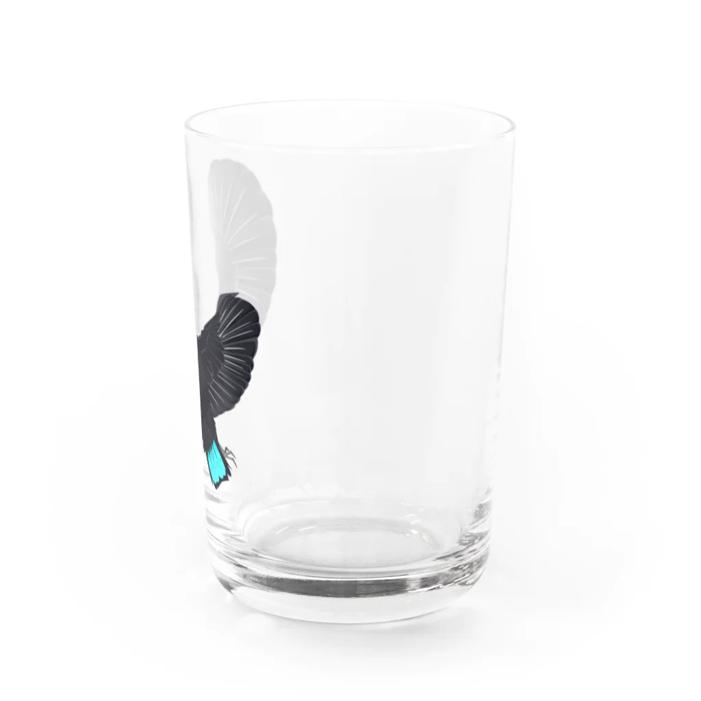 Generousのコウロコフウチョウ Water Glass :right