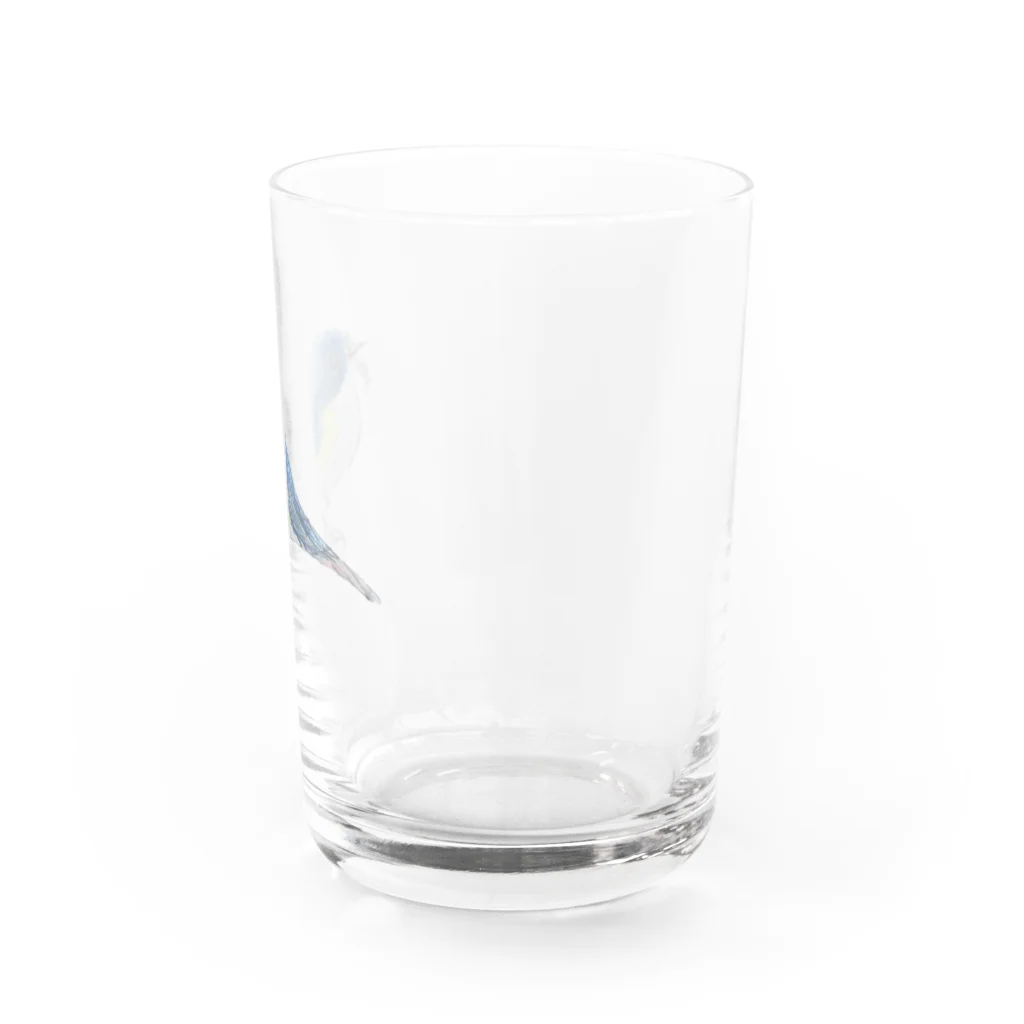 息子くんのお部屋。のとり① Water Glass :right