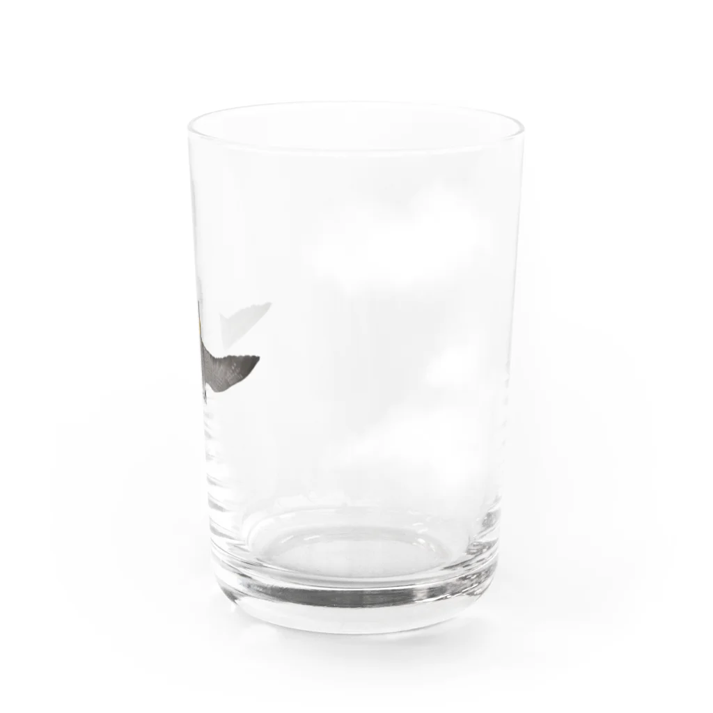 いもけんぴのハヤブサと綿雲 Water Glass :right