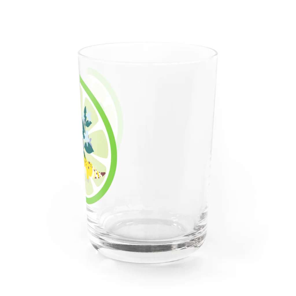 たづのレオパC Water Glass :right