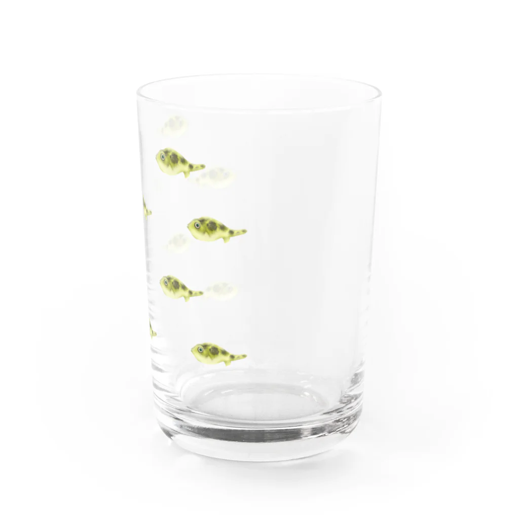 uovo  ウーヴォのアベニーパファー軍団 Water Glass :right