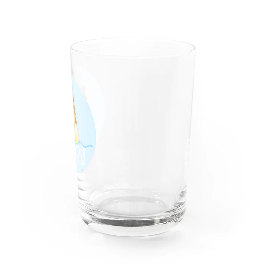 gznのうちのポメラニアン（風呂） Water Glass :right