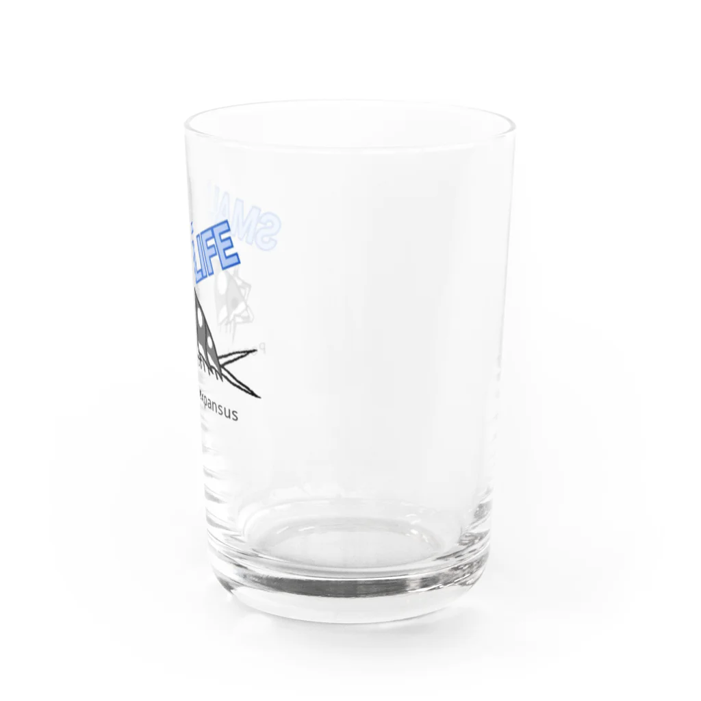 SMALL LIFEのエキスパンサス Water Glass :right