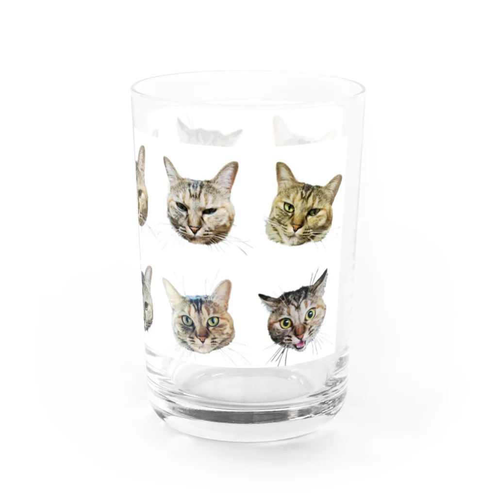 ヒカリタケウチのひげのながいねこ Water Glass :right