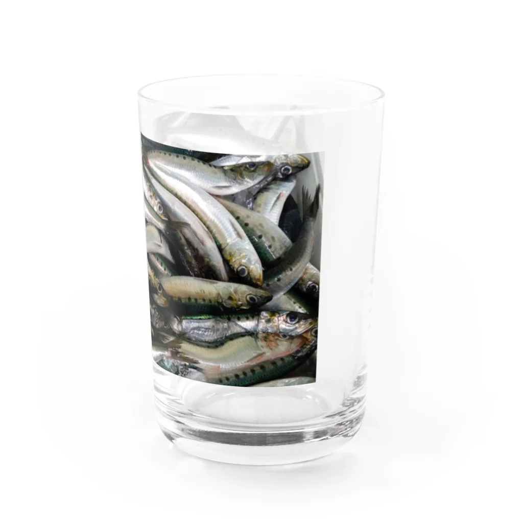 かわいい鰤たちのイワシの香り漂うグラス Water Glass :right