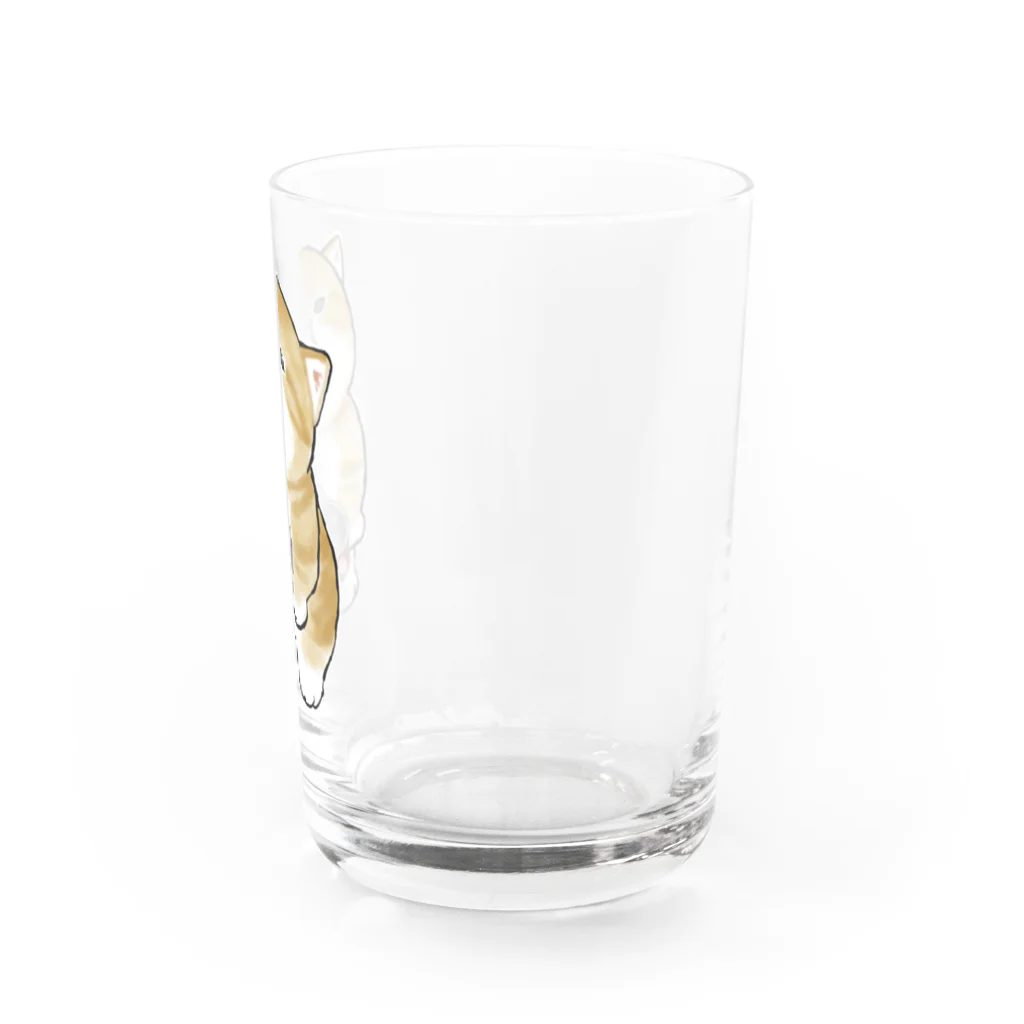 mofusandのごはんちょーだい Water Glass :right