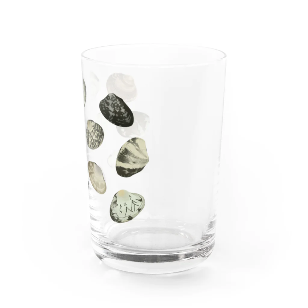 スカシカシパン堂のアサリマニア Water Glass :right