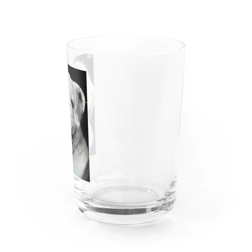 Bullsonのブルドッグ【タイソン】グッズ Water Glass :right