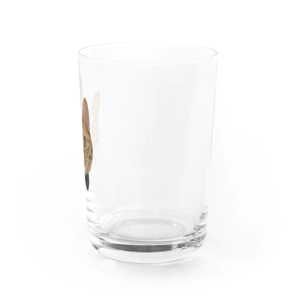 ぽんずのお店🍞のぽんずくん Water Glass :right