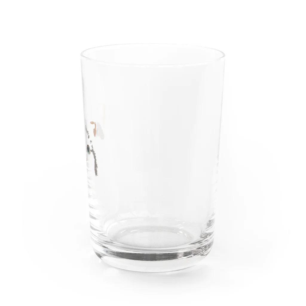 こげこげおこげまるのじっと見つめる Water Glass :right