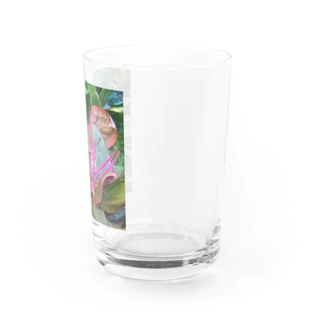 Mahina o Hokuのaloha kakahiaka  Water Glass :right