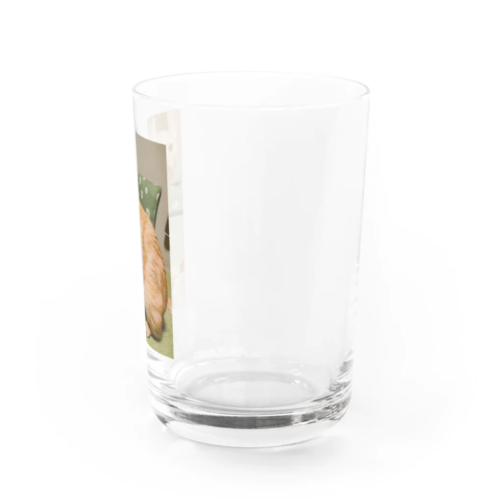 ふじちゃんの猫のまろんちゃんキーホルダー Water Glass :right