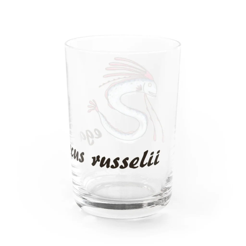 ぺんぎん丸のもっと！リュウグウノツカイ-Regalecus russelii- Water Glass :right