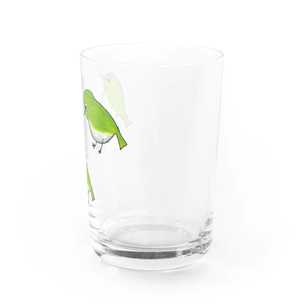 森図鑑の[森図鑑] いろいろメジロ Water Glass :right