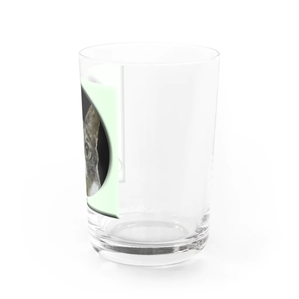 ぬくもふ屋　【猫 犬の似顔絵描き】のchah Water Glass :right