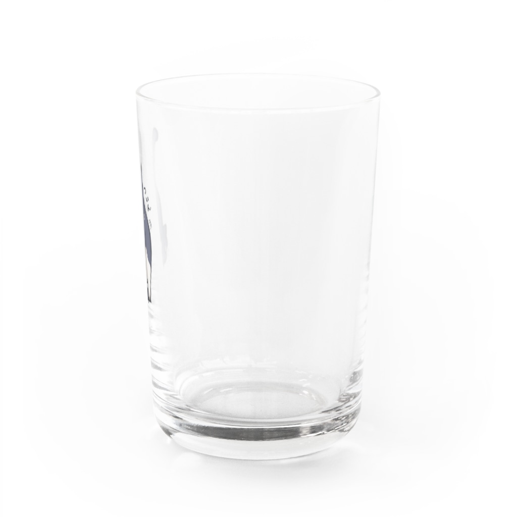 寂しんぐのはちわれねこ(おしりついん) Water Glass :right