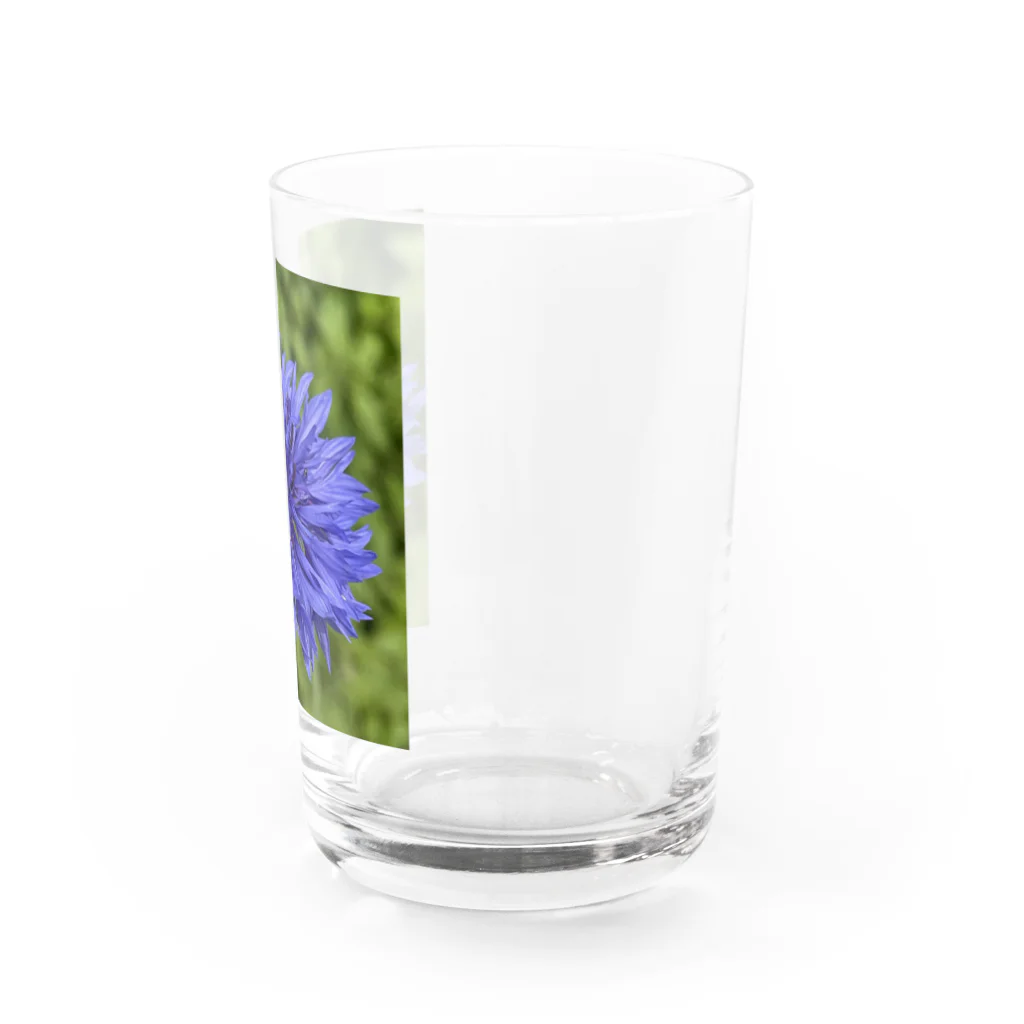 あゆのしおやきのヤグルマギク(青) Water Glass :right