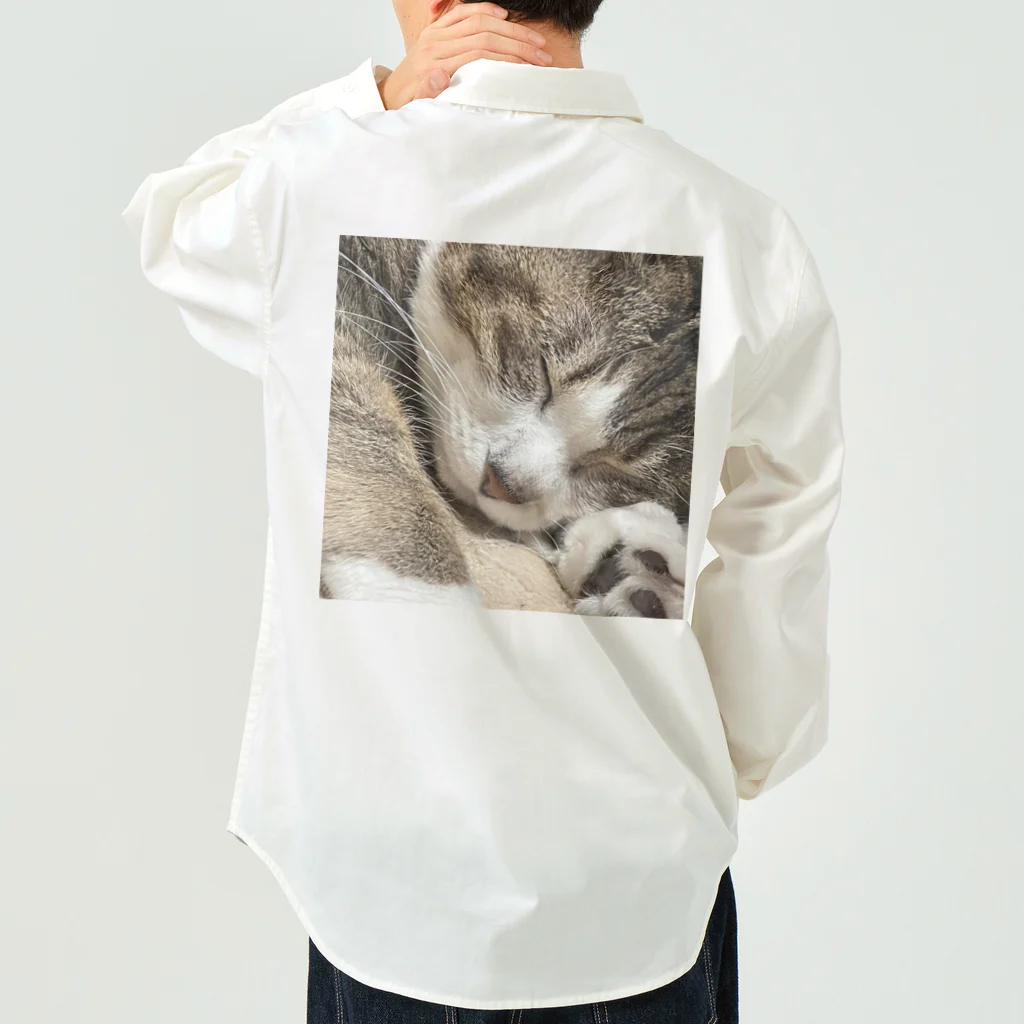 あゆのしおやきの猫(キジシロ) Work Shirt