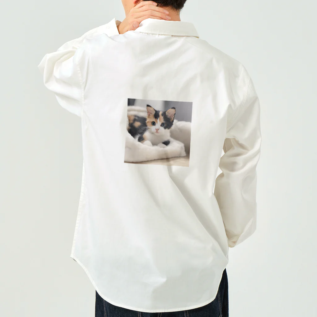癒しリフレッシュの愛らしい子猫ちゃん ワークシャツ