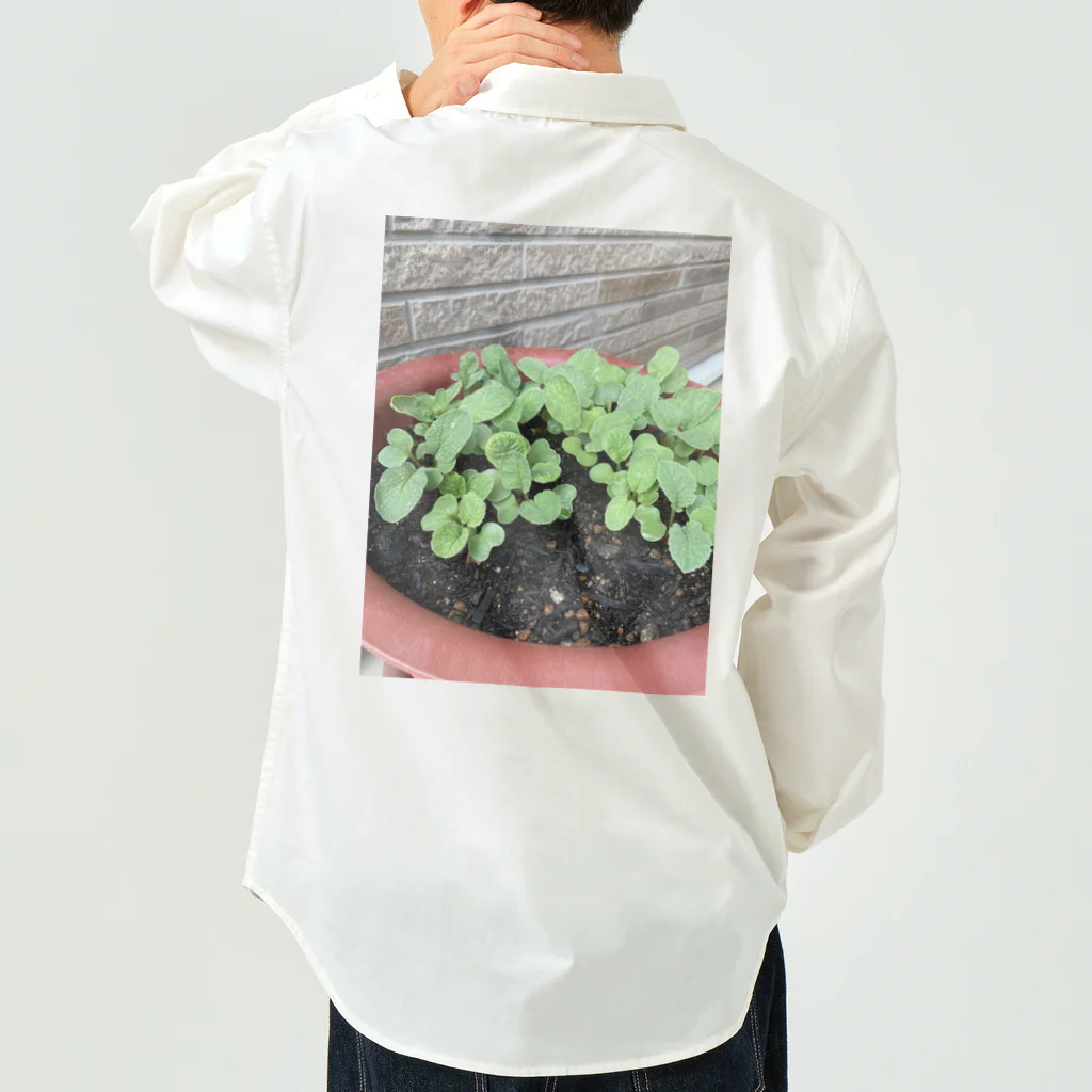 和み屋の新しい始まりを象徴する緑の新芽がプランターから顔を出しました🌱 Work Shirt