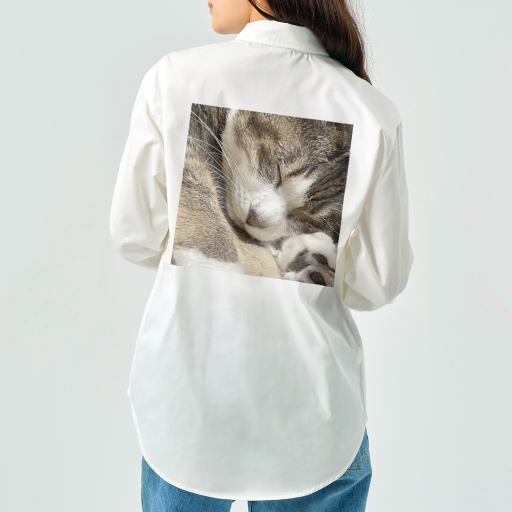 あゆのしおやきの猫(キジシロ) Work Shirt