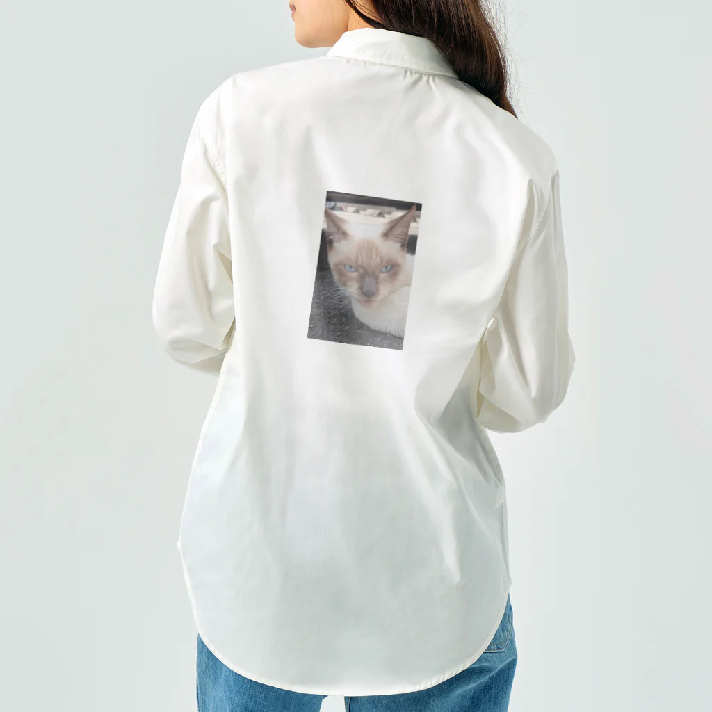 Makoto_Kawano Designの悪そうなのにカワイイ猫ちゃん ワークシャツ