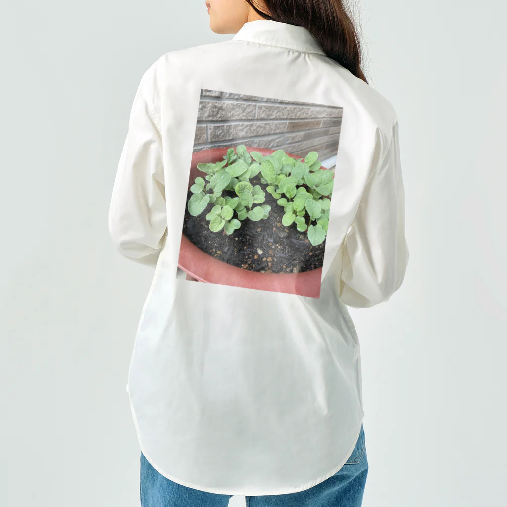 和み屋の新しい始まりを象徴する緑の新芽がプランターから顔を出しました🌱 Work Shirt