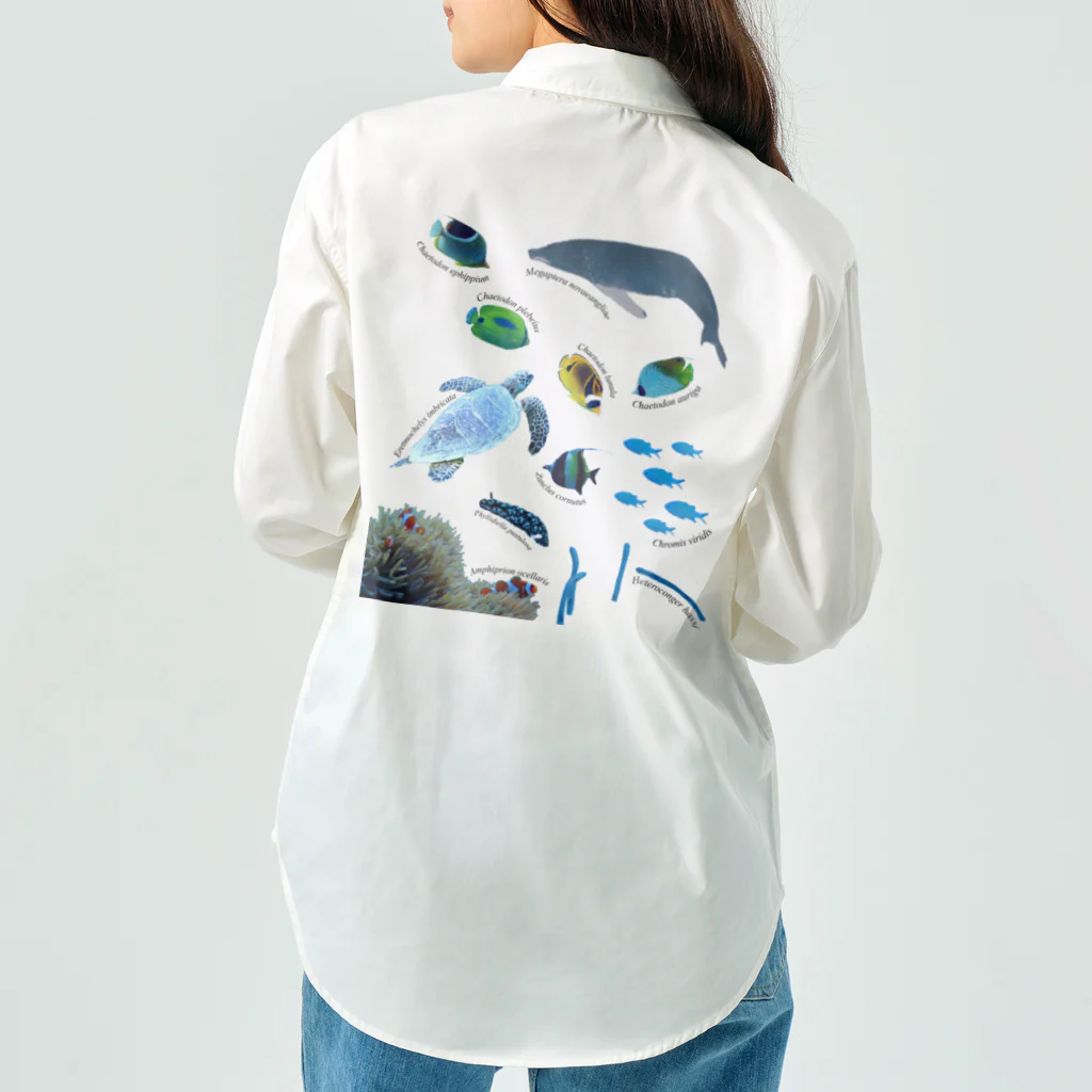 L_arctoaの沖縄の海の生き物 ワークシャツ