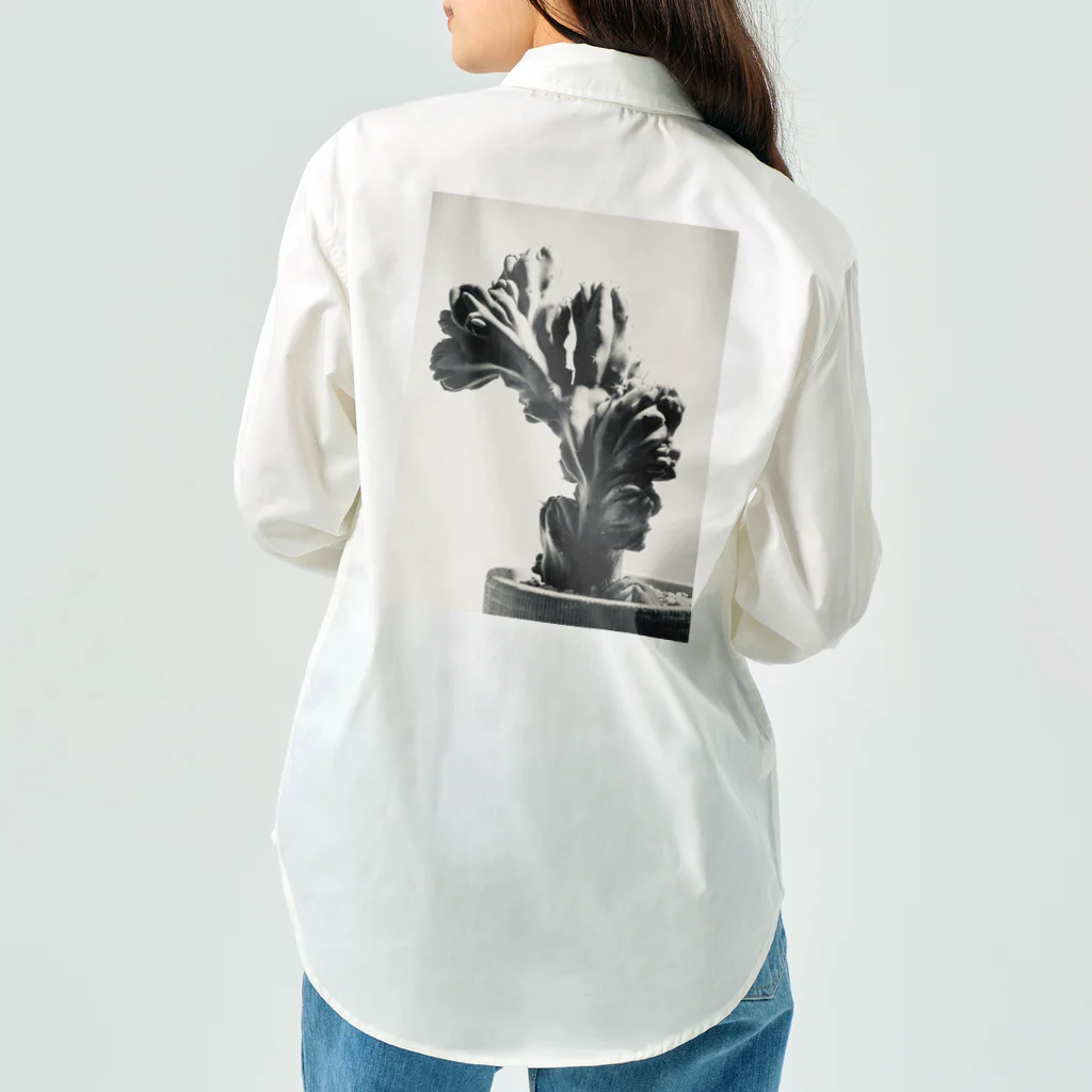カケイプランツの竜神木綴化 Work Shirt