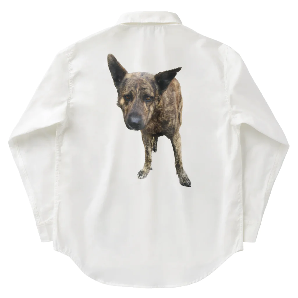 EYE CANDYの愛犬注意 ワークシャツ