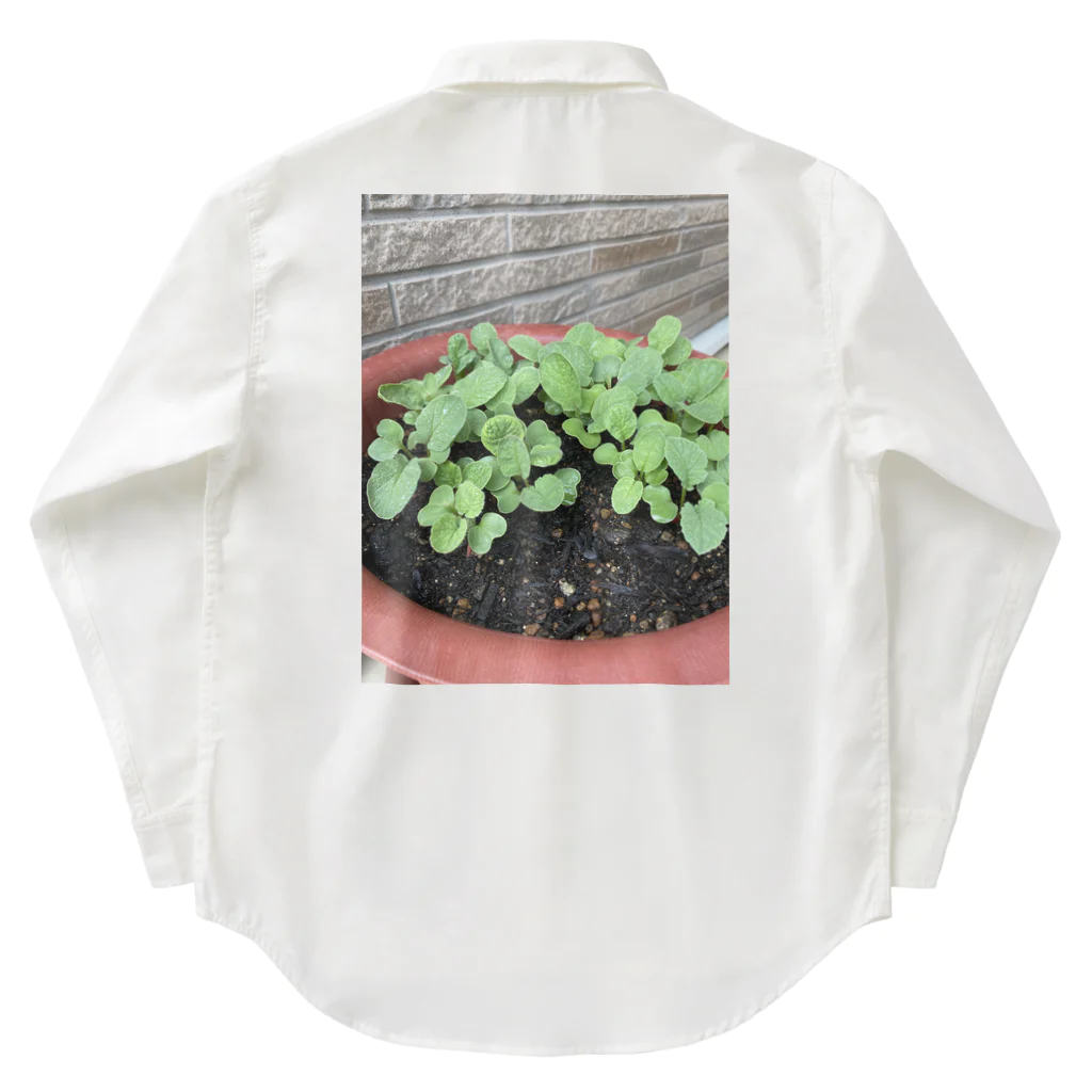 和み屋の新しい始まりを象徴する緑の新芽がプランターから顔を出しました🌱 Work Shirt
