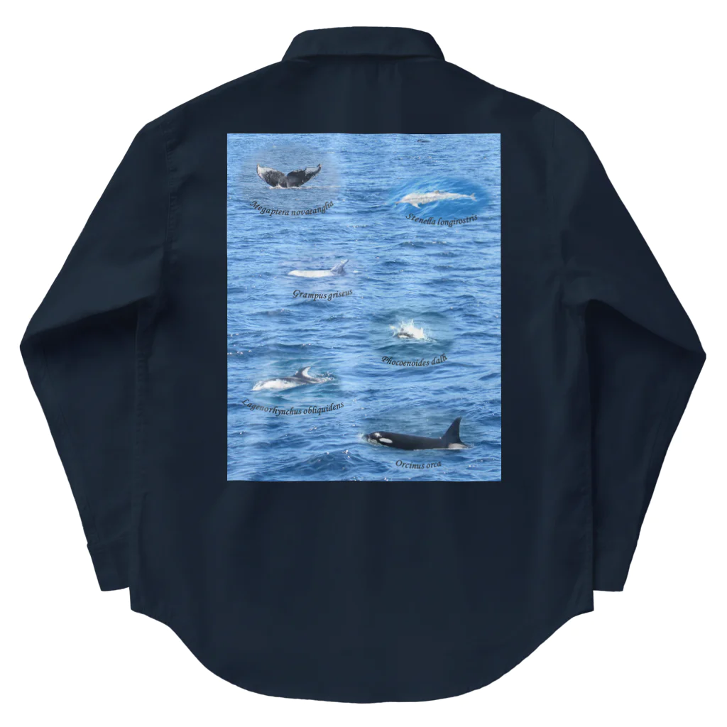 L_arctoaの船上から見た鯨類(1) Work Shirt