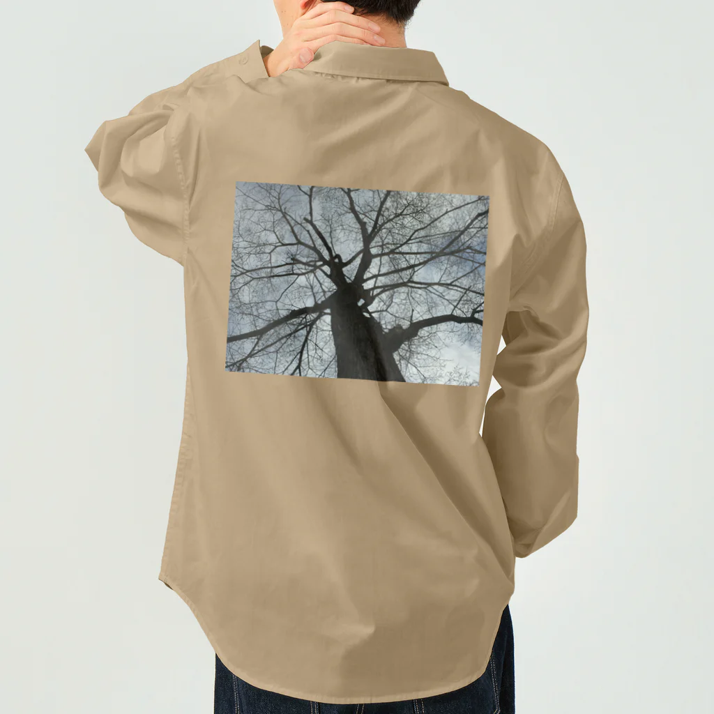 空屋　sorayakusakaの201805051602001　春の樹木 Work Shirt